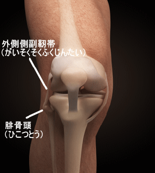 足首捻挫が及ぼす膝への影響 横浜で鍼灸と言えばオリンピック選手や世界選手権金メダリストも通う土井治療院へ