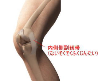 膝内側の痛みとぐらつきがでる原因とは 横浜で鍼灸と言えばオリンピック選手や世界選手権金メダリストも通う土井治療院へ