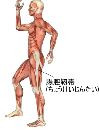 太ももの外側 の張りがなかなか取れない 腸脛靱帯炎 ランナー膝 が原因ではないかも 横浜で鍼灸と言えばオリンピック選手や世界選手権金メダリストも通う土井治療院へ